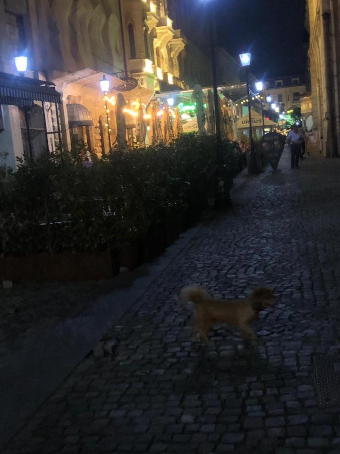 Charming Quiet Studio Coltea Old Town In The Centre Of Βουκουρέστι Εξωτερικό φωτογραφία